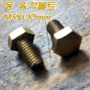 M5X10mm 동(신주) 육각 볼트